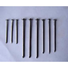 Common Wire Nail